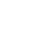 Black Hills Ammunition