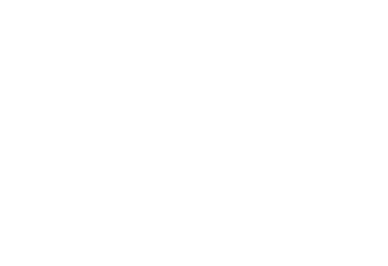 FN Herstal