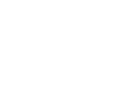 Israel Weapon Industries