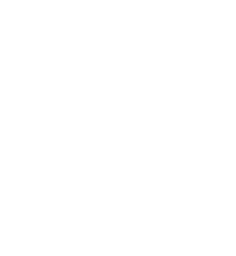 Sturm Ruger