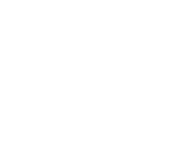 Black Hills Ammunition